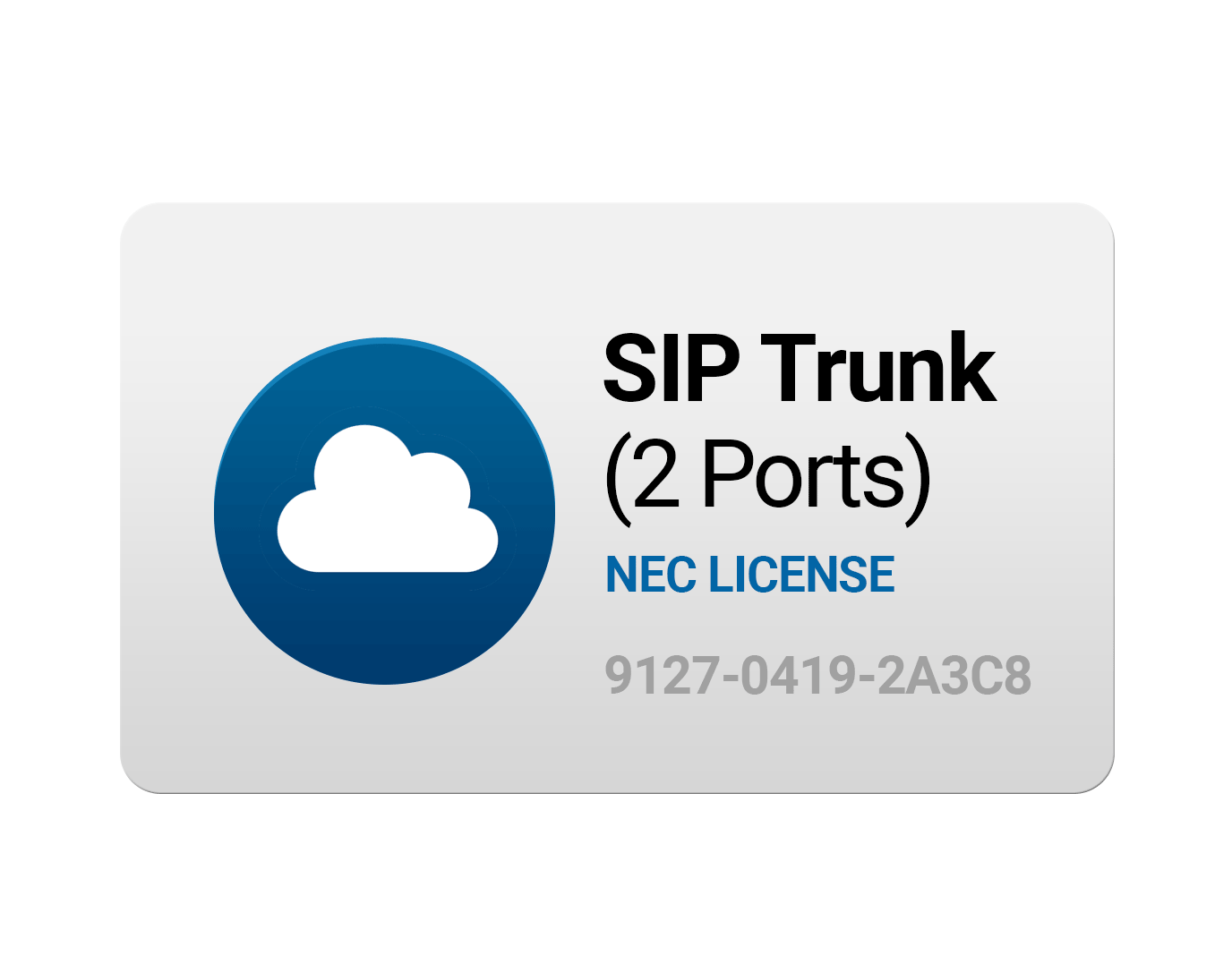 SIP Trunk 2-Port License 1100093